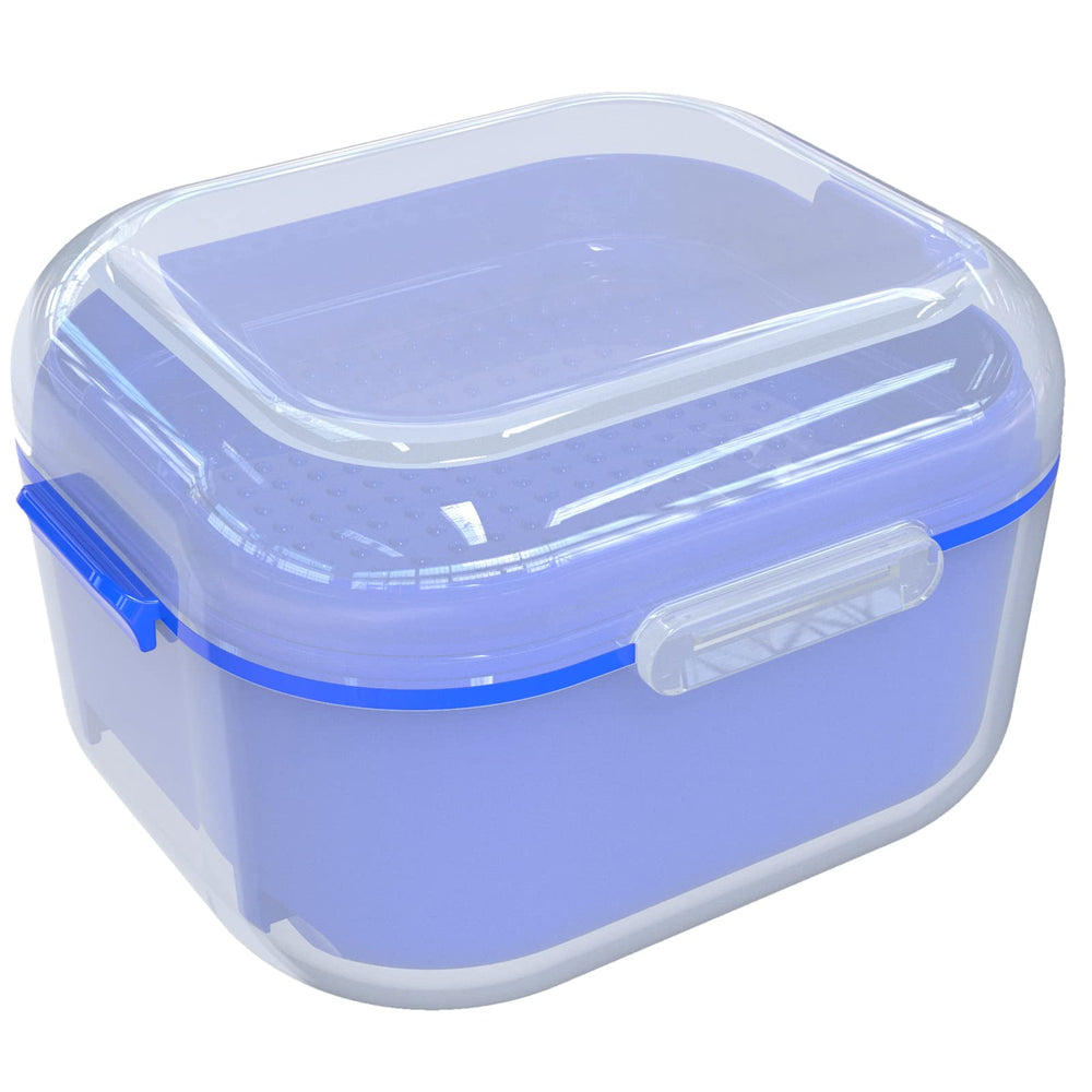 ARGOMAX Denture Case front view with translucent housing