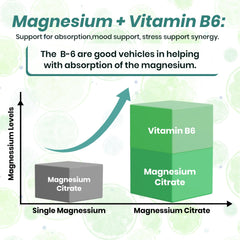 Plant-based capsule packaging with gluten-free, dairy-free, soy-free icons
