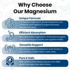 GMP-lab verification and safety assurance image