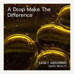 Greek oregano farm representing sourcing from Greece