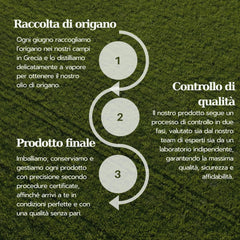 Sourcing from Greek farms for Aromavita Oregano Oil