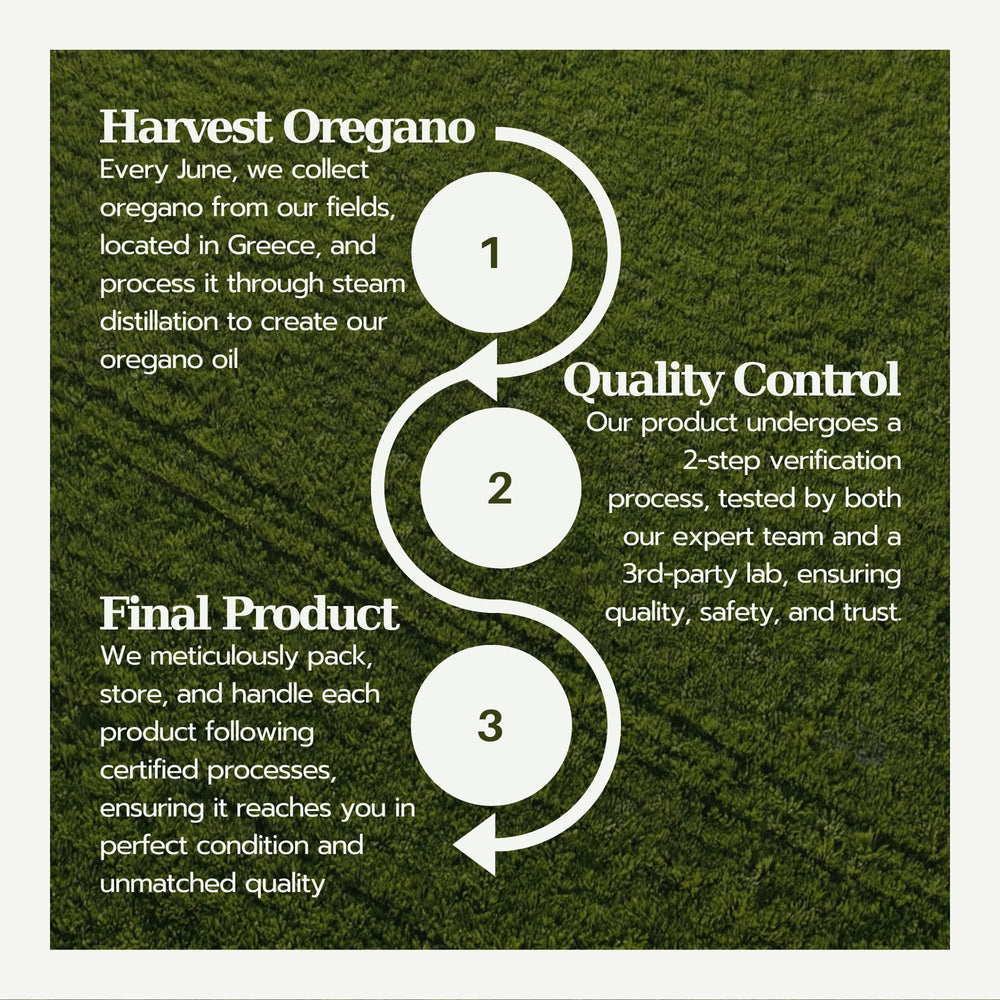 Illustration of internal, topical, and aromatherapy uses for oregano oil