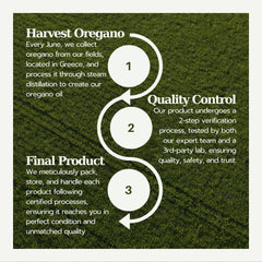 Illustration of internal, topical, and aromatherapy uses for oregano oil