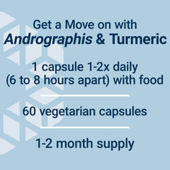 Graphic illustrating joint mobility support from Arthro-Immune Joint Support