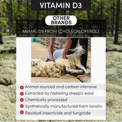 KD Ultra illustration for immune support