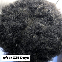 Paraben-free and Phthalate-free label