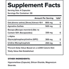 Alpha-GPC ingredient highlight in Ascend