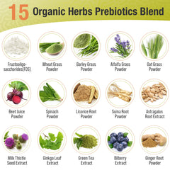 Digestive health benefits with gut-supporting ingredients