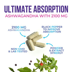 Close-up of ashwagandha root extract capsules