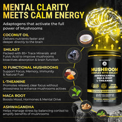 Ashwagandha, L-Theanine and Maca adaptogens with mushrooms