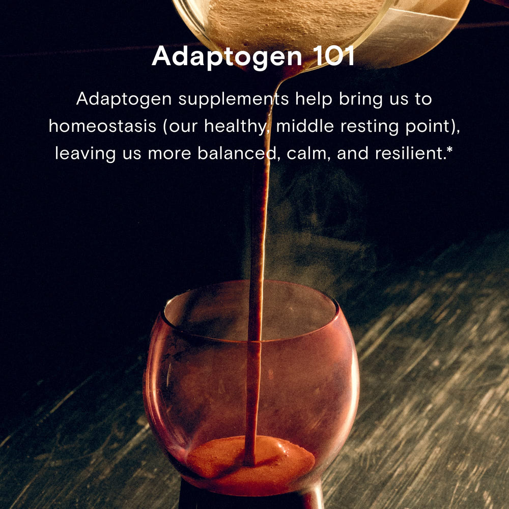 Organic Ashwagandha from India in 15:1 extract