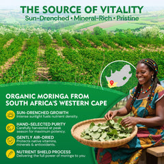 Ashwagandha and saffron antioxidant blend