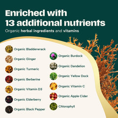 Ashwagandha and turmeric capsules with sea moss