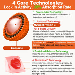 Astaxanthin and antioxidant ingredients in the formula