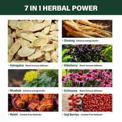 Astragalus root and herbal ingredients layout