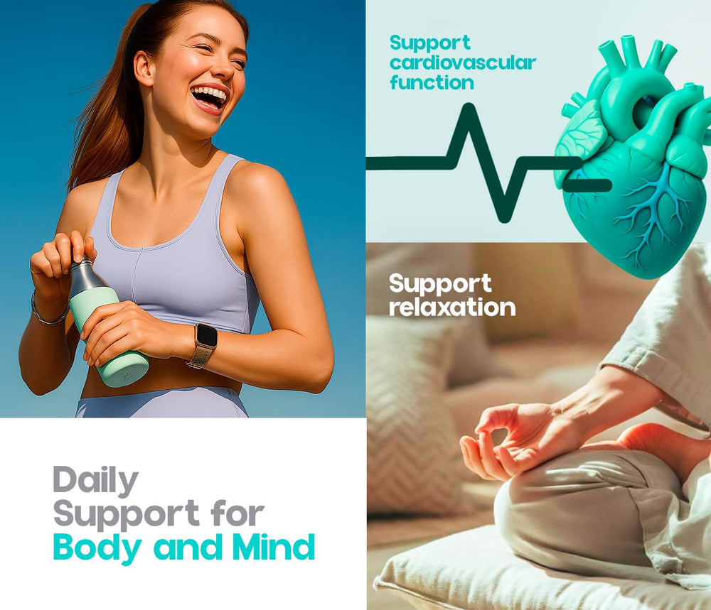 Graphic illustrating neuromuscular support and muscle function