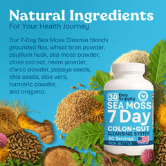 Digestive health-focused capsule design
