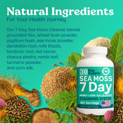 7-day daily capsule regimen concept