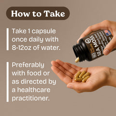 Daily wellness blend of sea moss, Rhodiola and Moringa