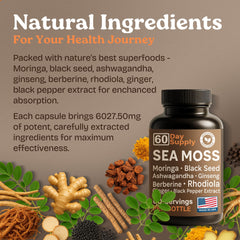 60-count bottle of Atlantic Naturals Sea Moss Capsules