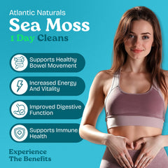 Sea Moss detox drink lemon flavor 8 oz bottle