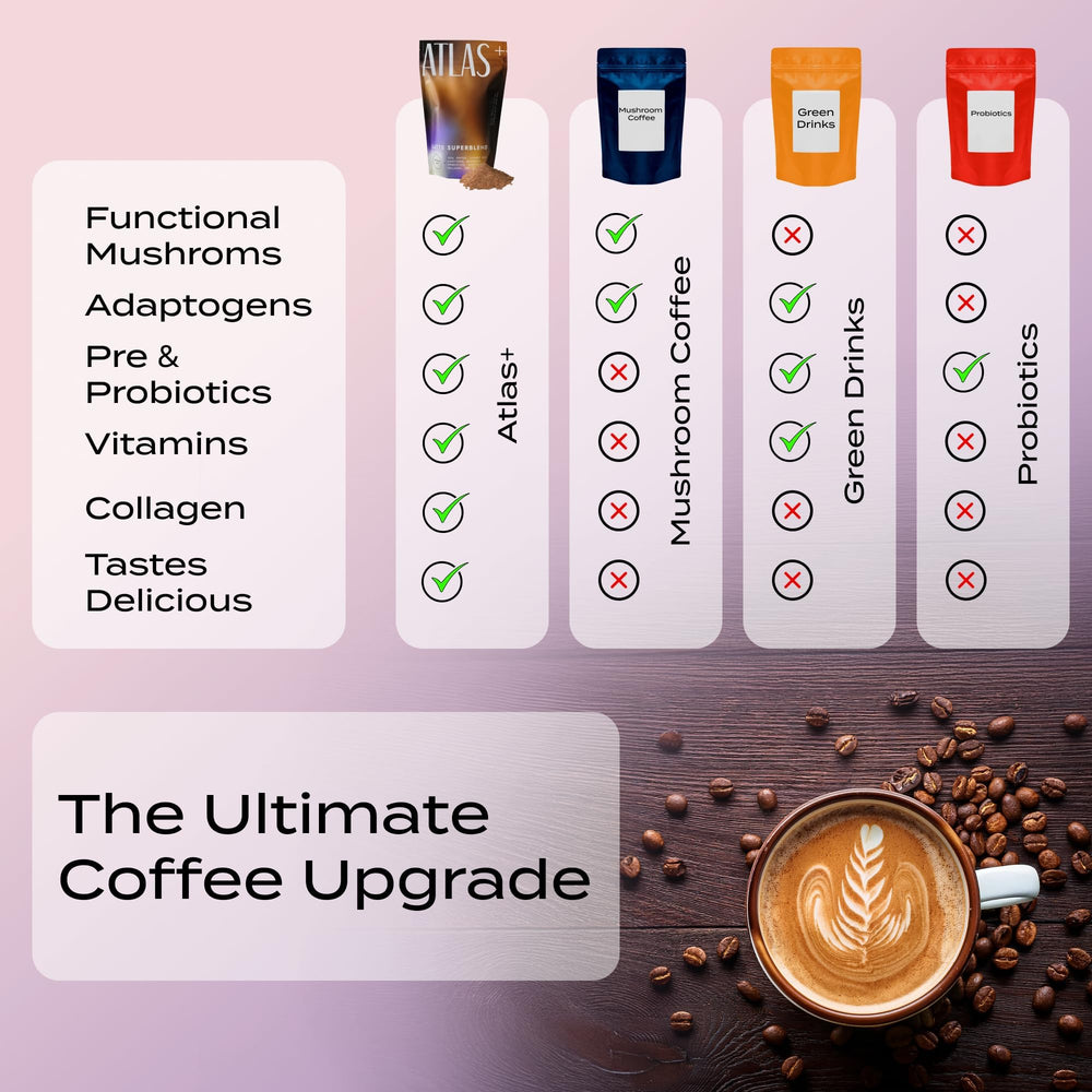 Premium mushroom blend ingredients lineup