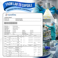 8-in-1 formulation capsule design of AUMETO supplement