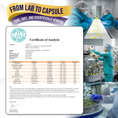 cGMP certified badge on packaging