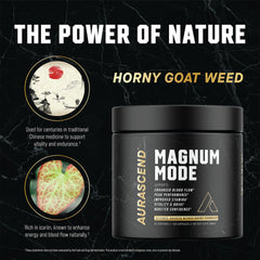 Aurascend Magnum Mode packaging shot emphasizes non-GMO USA-made quality and lab-tested purity.
