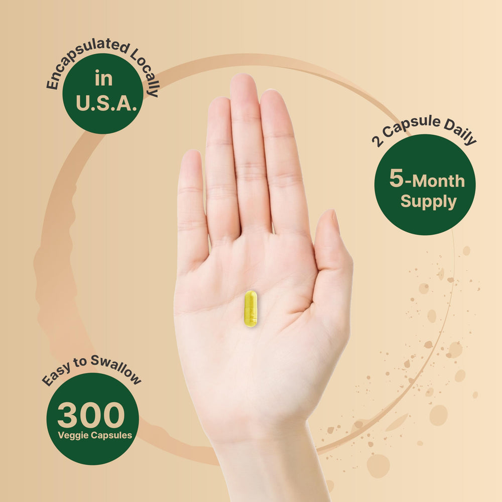 Illustration of Berberis Aristata root extract