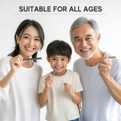 Travel-friendly prepasted toothbrushes without water