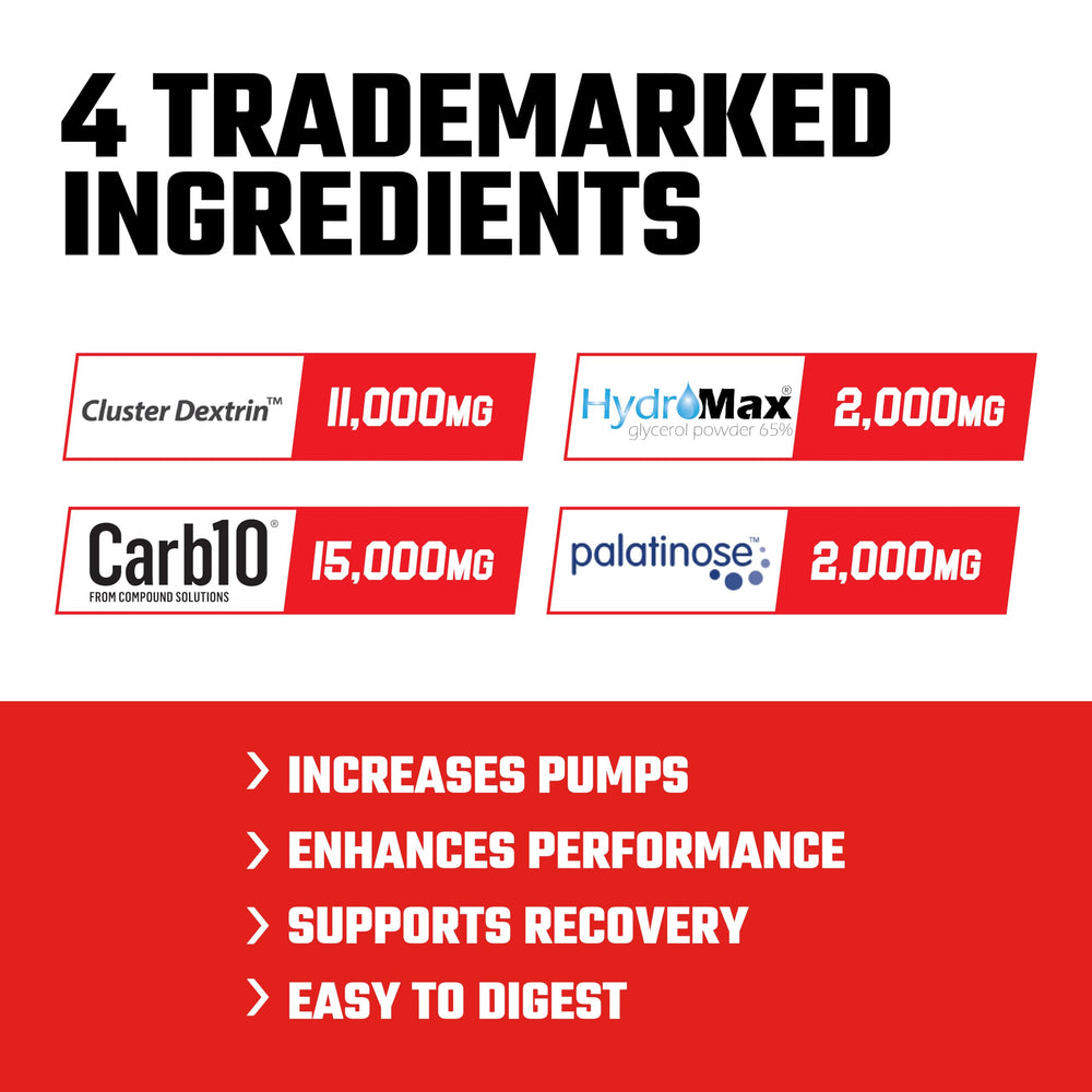 Close-up of Axe & Sledge Demo Day label highlighting Carb10 and Palatinose for steady energy.