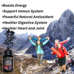 Turmeric and Ginger in AyBet formula