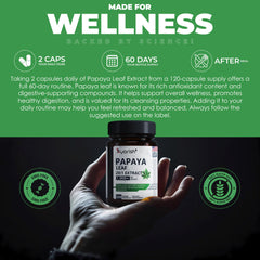 Papain digestive enzyme concept representing digestion