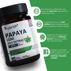 Graphic depicting immune and digestive health benefits from papaya extract