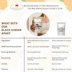 Close-up of Black Ginger powder texture