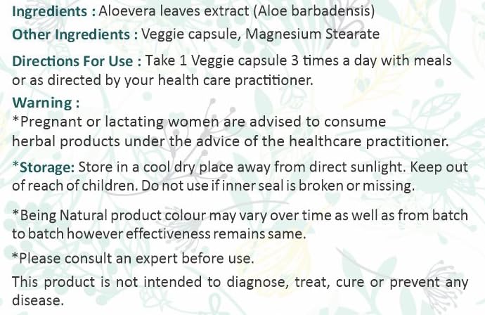 Outdoor lifestyle with Ayurforest Aloe Vera Capsule bottle