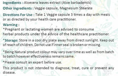 Outdoor lifestyle with Ayurforest Aloe Vera Capsule bottle
