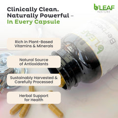 Third-party testing and quality seals