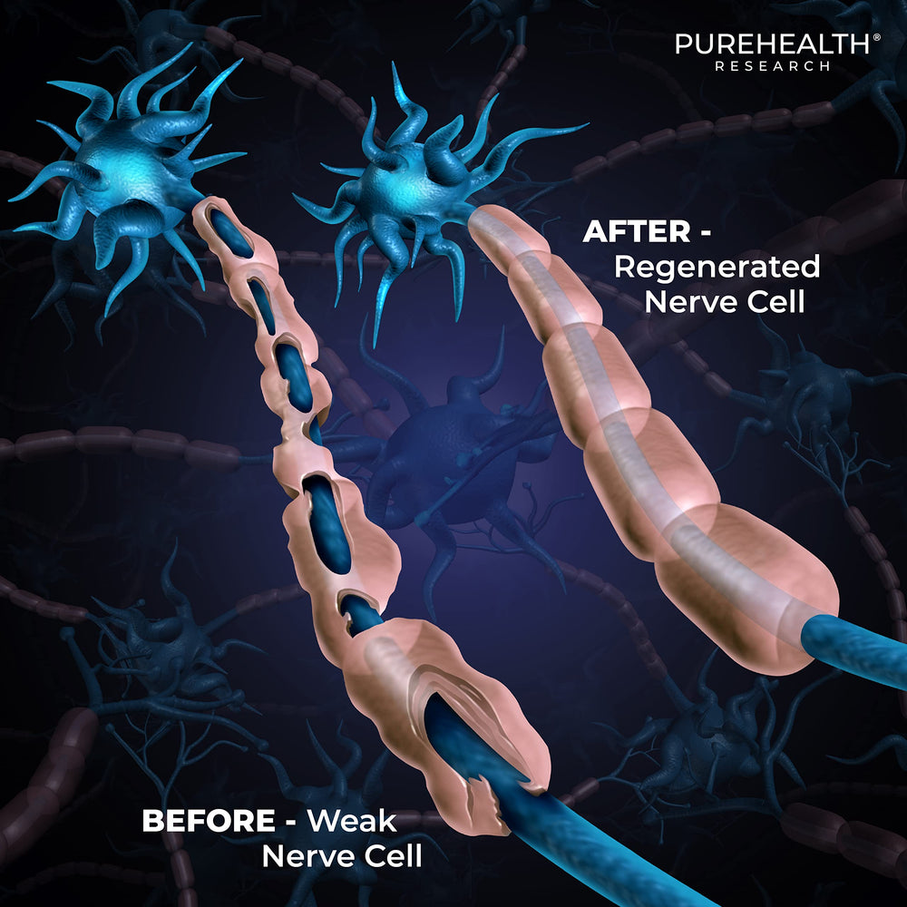 Essential B-Vitamins nerve support complex illustration
