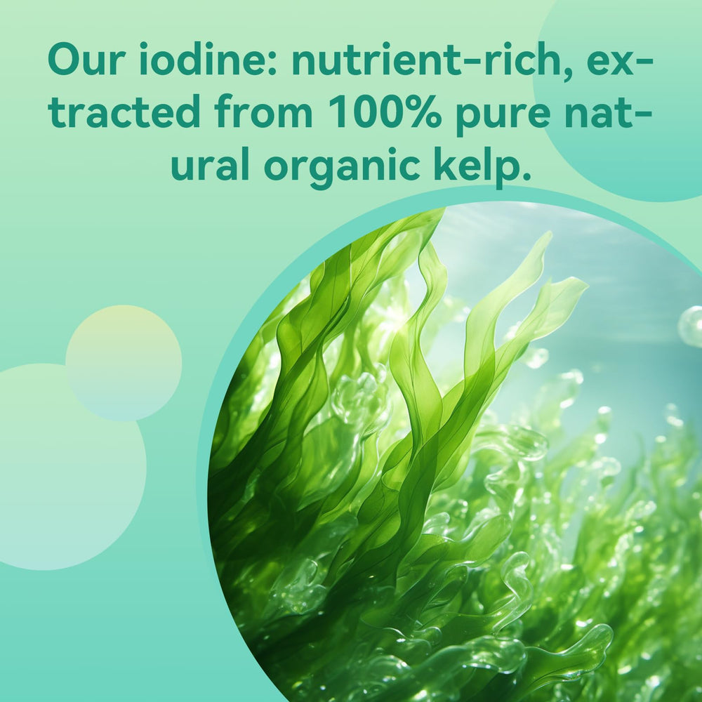 Full 60-capule Babivek iodine supplement box and bottle