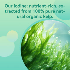 Full 60-capule Babivek iodine supplement box and bottle