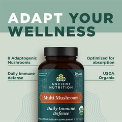 Bacillus coagulans probiotic for healthy gut microflora