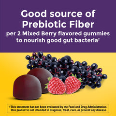Lactobacillus coagulans LactoSpore probiotic label