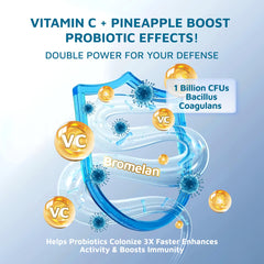 Probiotic Bacillus Coagulans used in feminine balance gummies