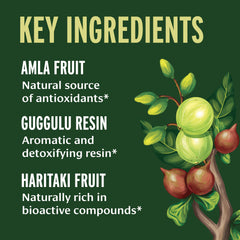 Product label showing Organic and Non-GMO certification on Triphala Guggulu
