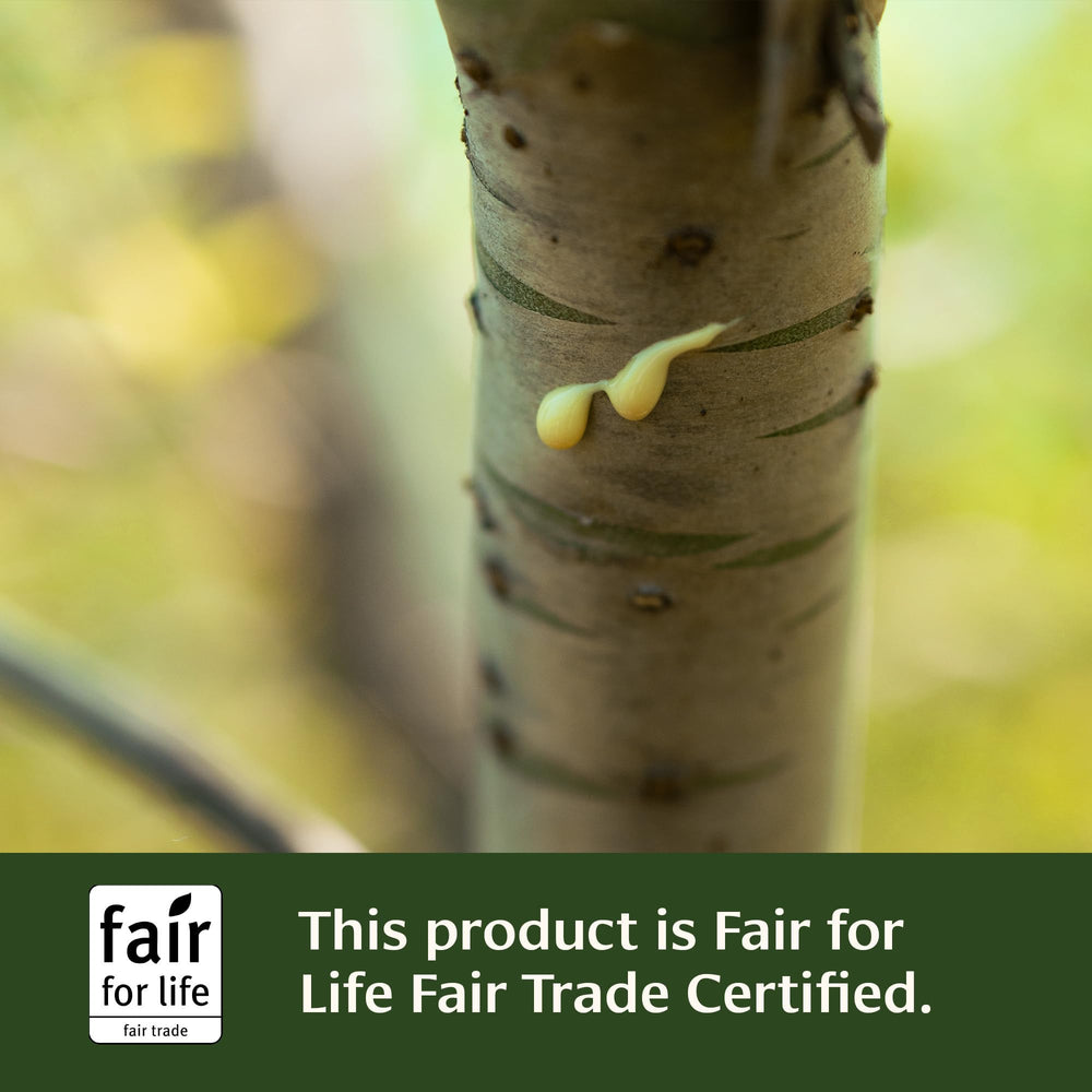Sustainable packaging and fair trade emblem on Banyan Botanicals box