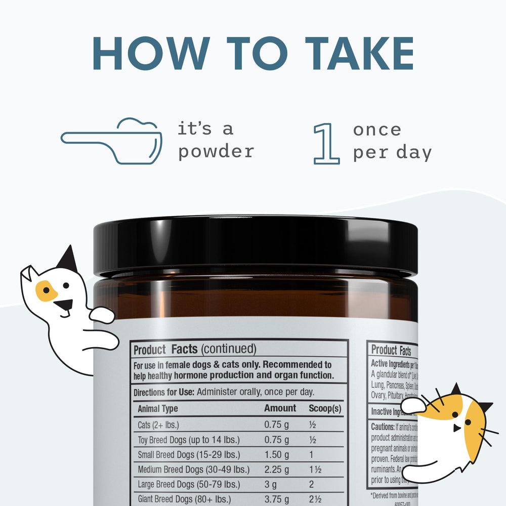 Dog and cat-friendly glandular supplement illustration