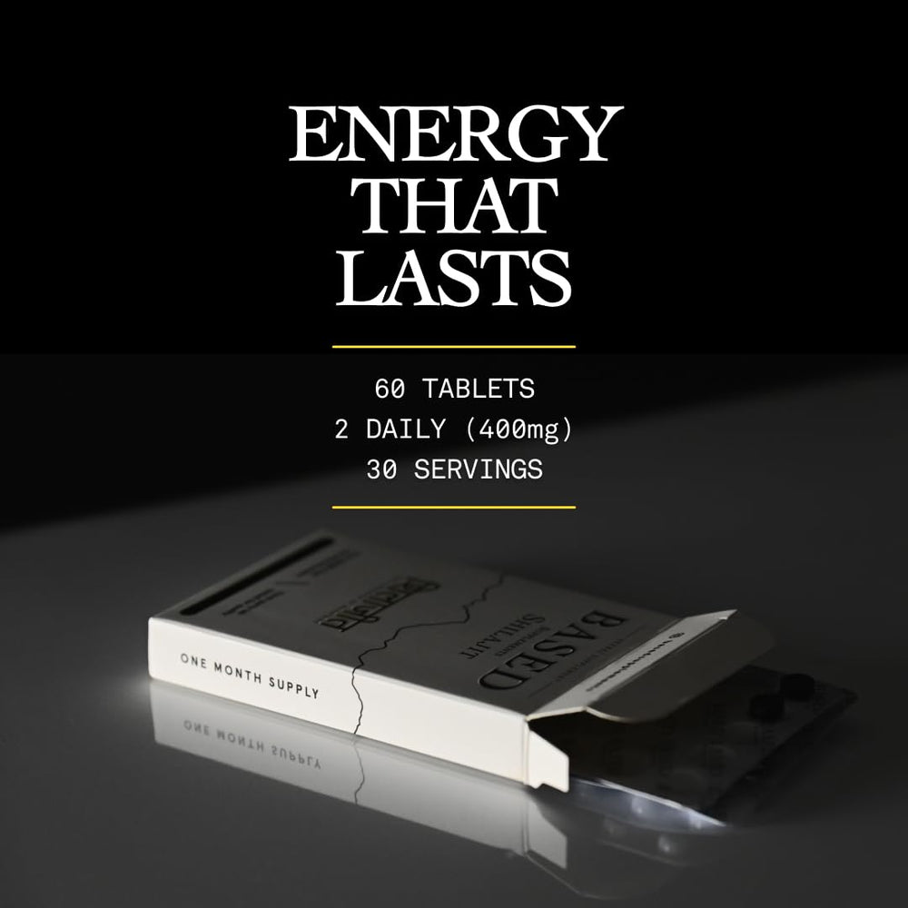 Altai Mountains source of premium Shilajit