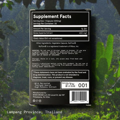 Based Supplements Thai forest herb scene conveys heritage and trusted formulation for daily routines.